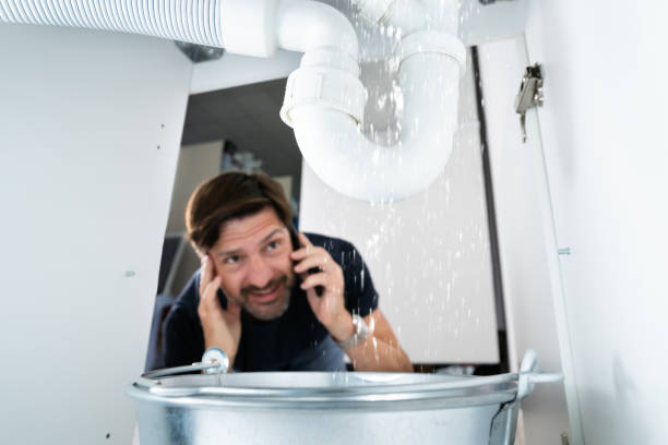 Best Sprinkler Systems  in Chilton, WI